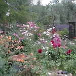 D'hotes La Charmante