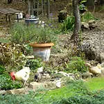 فندق مبيت وإفطار D'hotes La Charmante