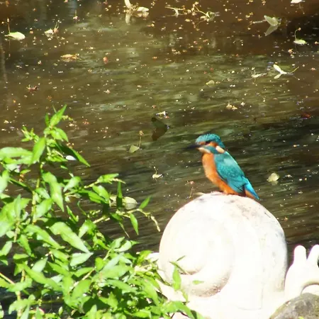 D'hotes La Charmante Bed & Breakfast Xertigny