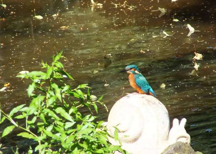 D'hotes La Charmante Bed & Breakfast Xertigny